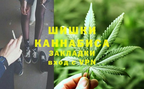 прущие крисы Каменка