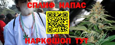 дмт Канаш