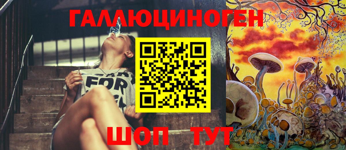 Комсомольск-на-Амуре  Псилоцибиновые грибы GOLDEN TEACHER  Вход с VPN 