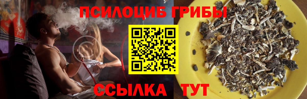 Псилоцибиновые грибы Magic Shrooms Комсомольск-на-Амуре
