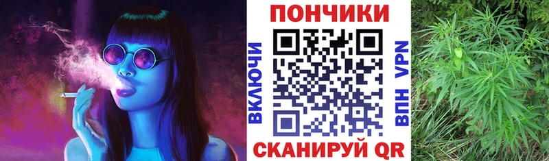 Конопля гибрид  продажа наркотиков  Комсомольск-на-Амуре 